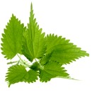 Кефирная маска в сочетании с крапивой